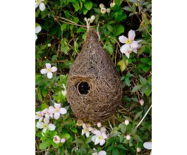 Ptačí budka – Brushwood – otvor 3 cm