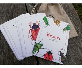 Výukové karty Brouci