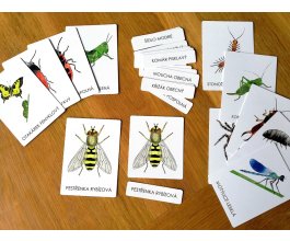 Třísložkové karty Hmyz a jiní beozobratlí