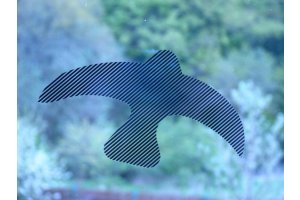 Ptačí siluety na sklo 9 ks černé s průhlednými pruhy